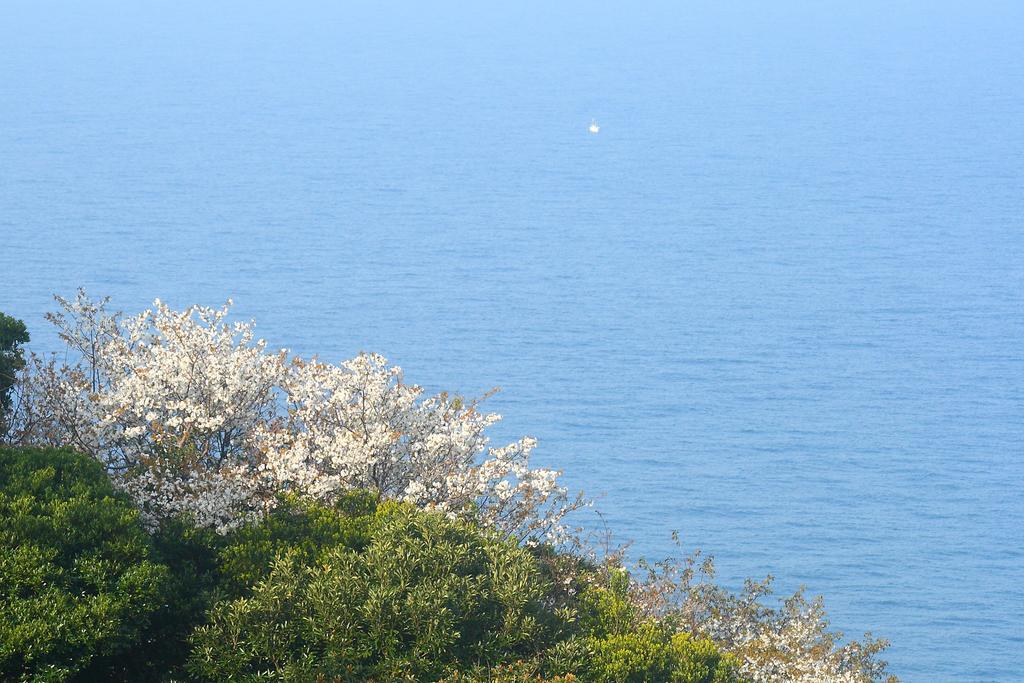 Hillside Inn Sirocco Tateyama  Zewnętrze zdjęcie